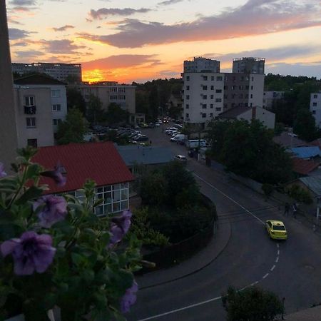 Cozy Apartment - Near Airport And Palas Mall Iasi Eksteriør billede